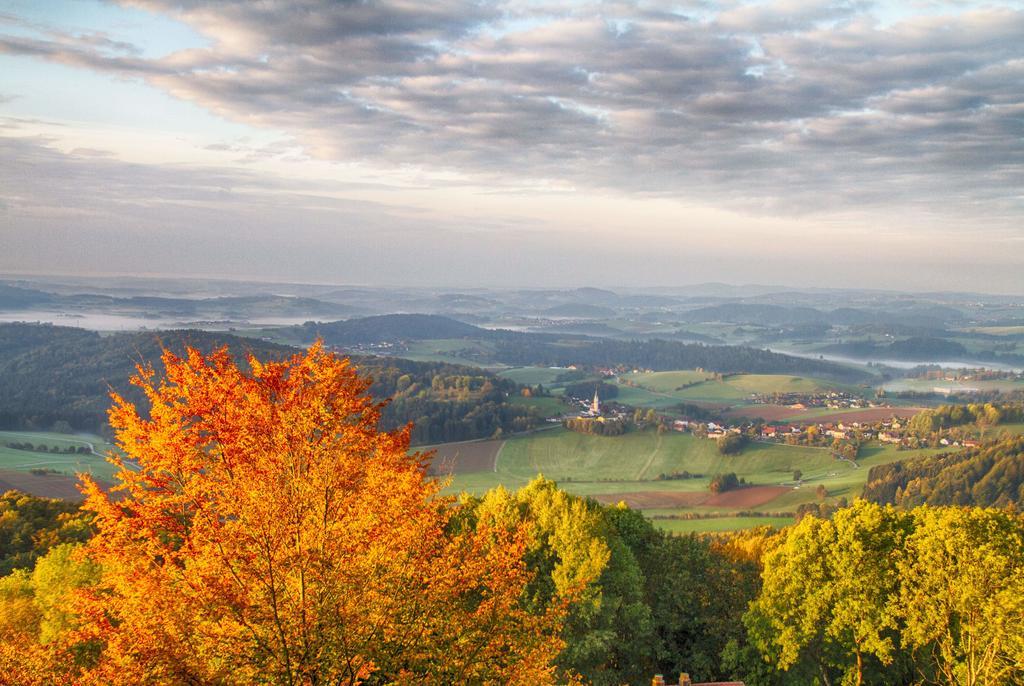 Ferienwohnungen-Bendler Freyung Habitación foto